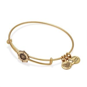 Alex and Ani Compass Slider